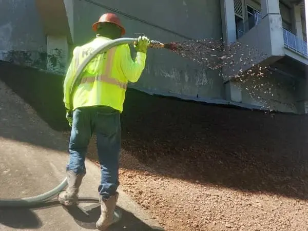 Proganics Gallery 1 Proganics Gallery 1