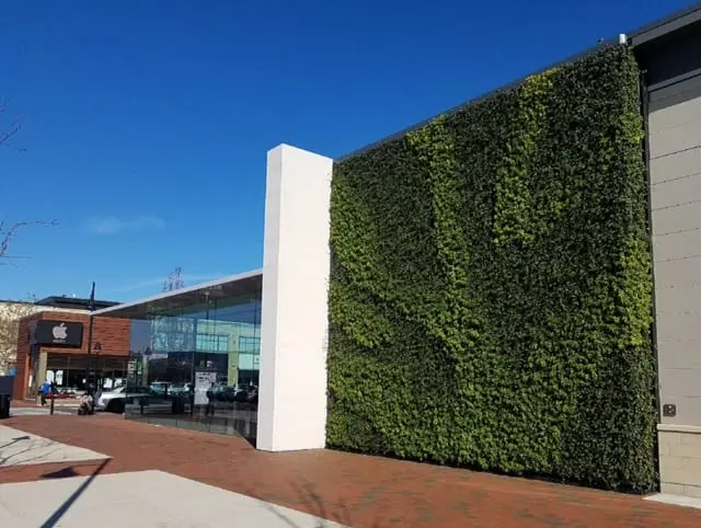 Apple.wall .boston.chad .11.9.17