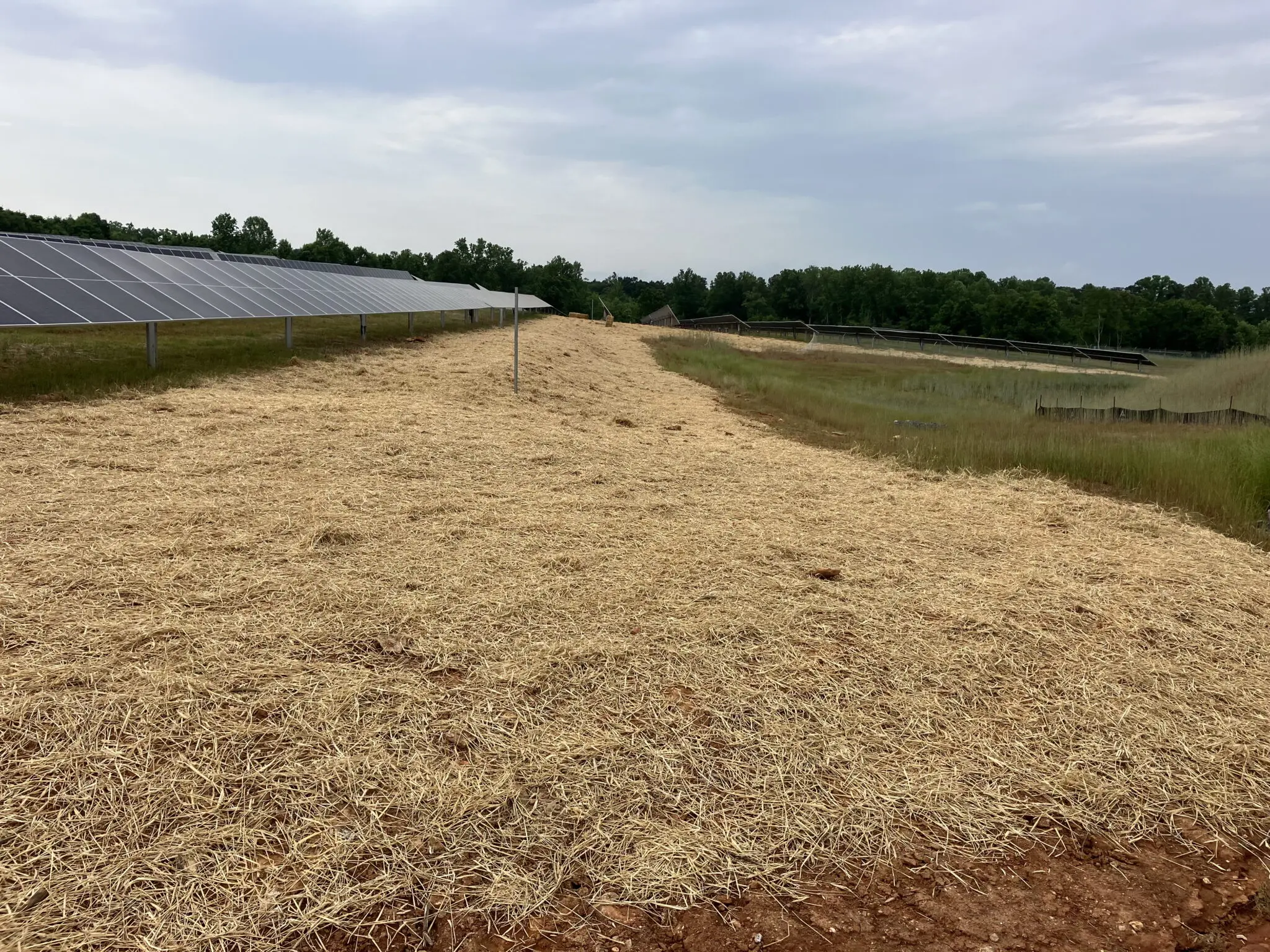 Apex Solar Stabilization Charlotte Apex Solar Stabilization Charlotte