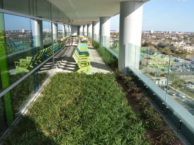 Musc Hospital Dining Terrace Scaled 700x500