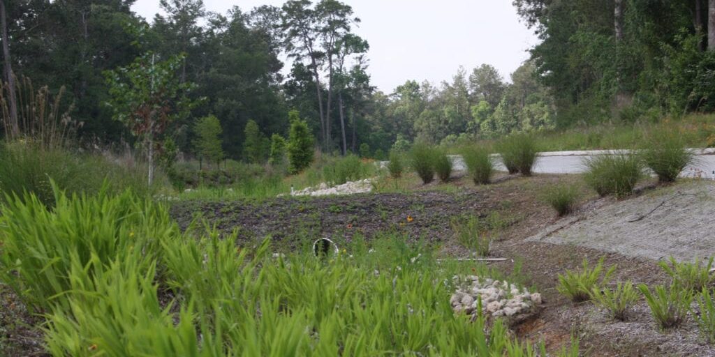 Birnamwood 1 1024x682 1