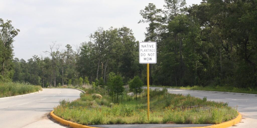 Birnamwood 3 1024x682 1