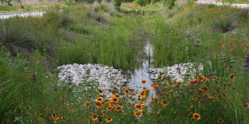 Birnamwood 4 1024x682 1