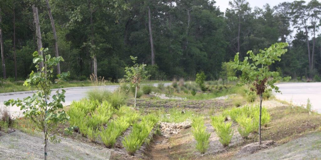 Birnamwood 5 1024x682 1[1]