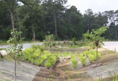 Birnamwood 5 1024x682 1[1]