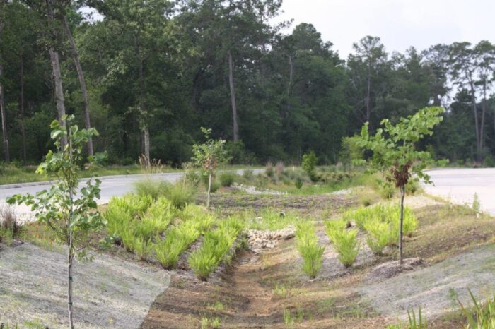 Birnamwood 5 1024x682 1[1]