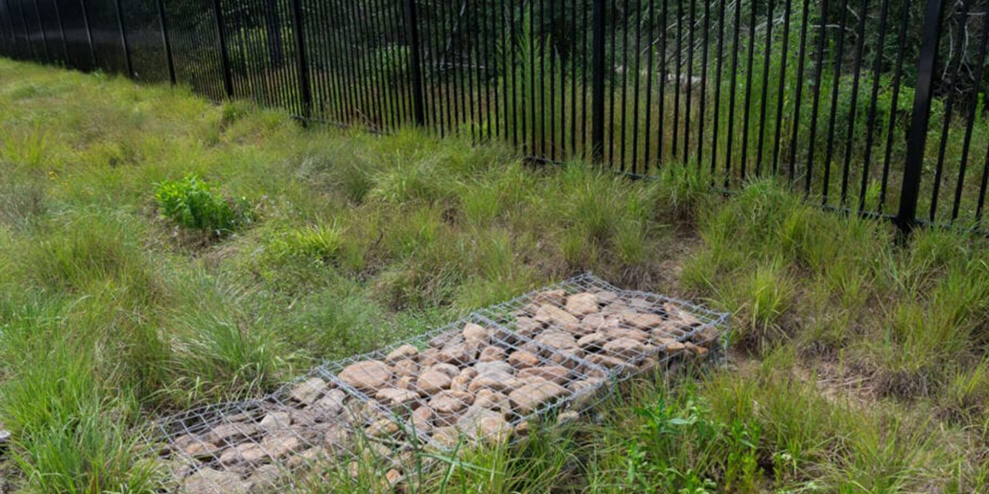 Case Study Springwoods 4