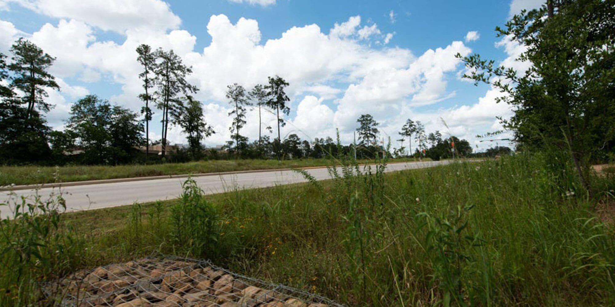 Case Study Springwoods 6