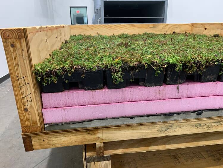 Green Roof Cross Sections Modular Sedum