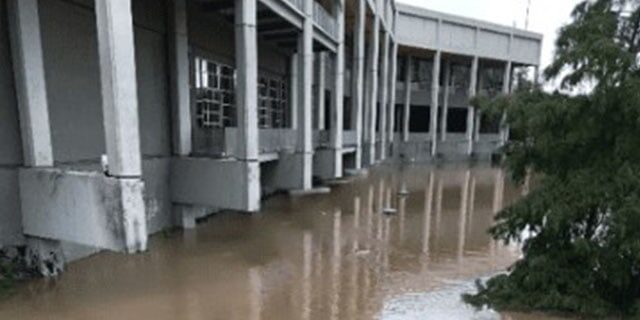 Wortham Case Study 10