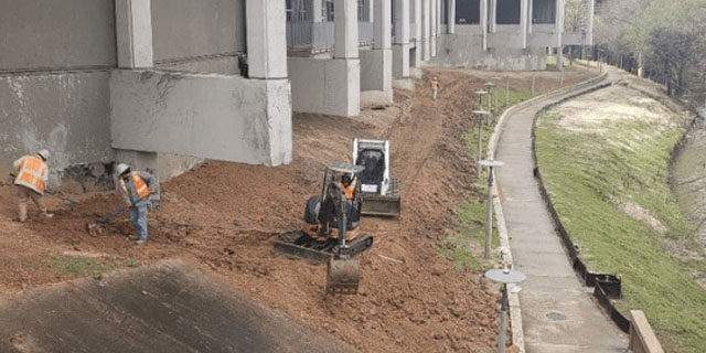 Wortham Case Study 4