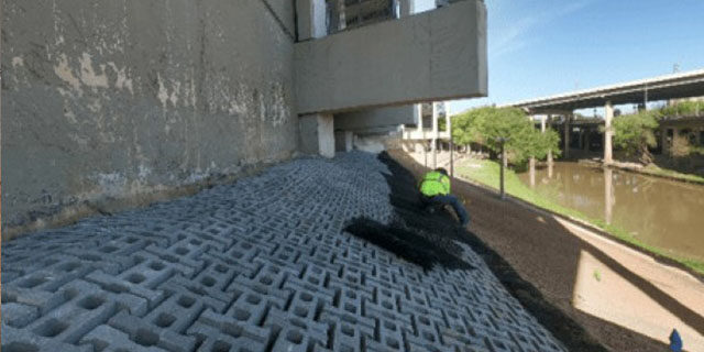 Wortham Case Study 5