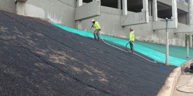 Wortham Case Study 8