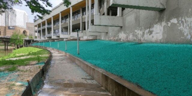 Wortham Case Study 9