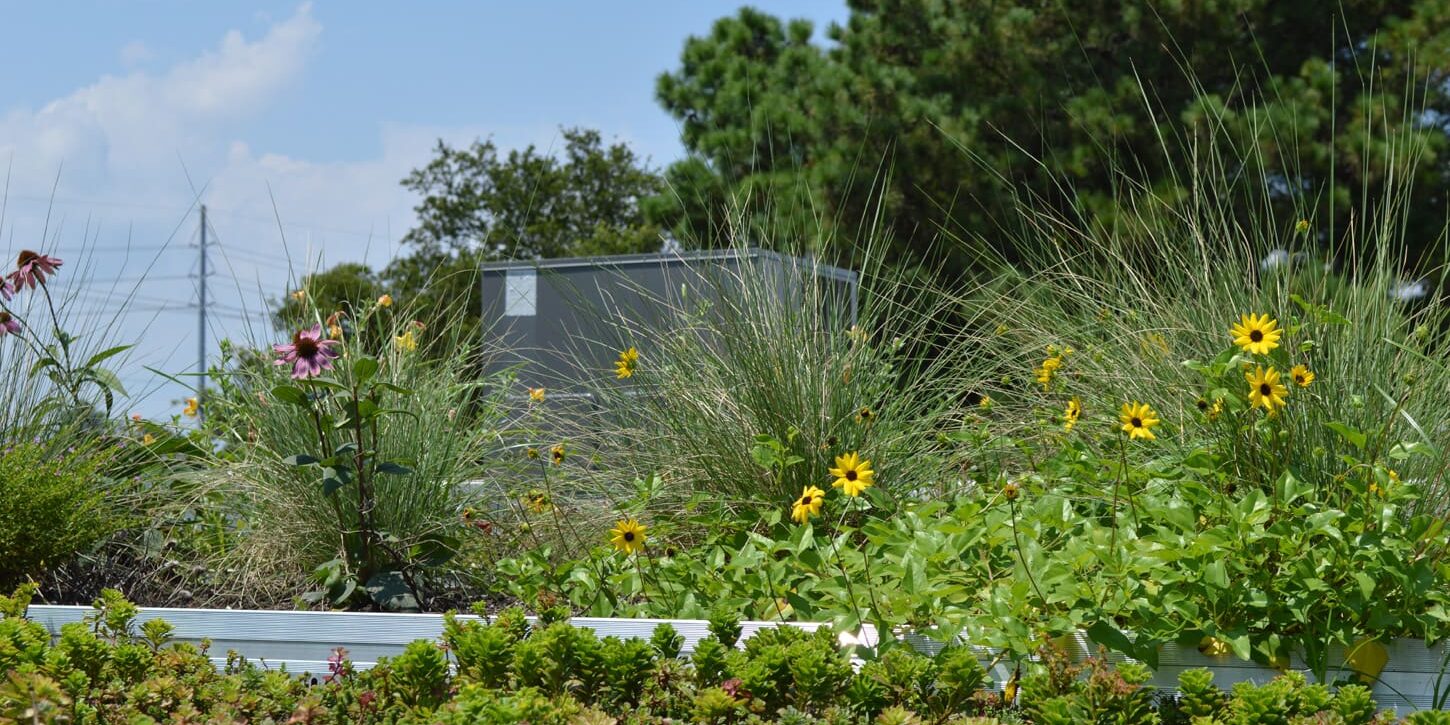 1630 2 Meeting St Local Works10