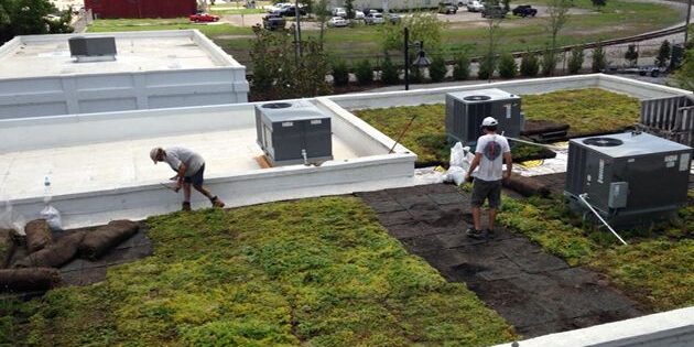 1630 2 Meeting St Local Works5