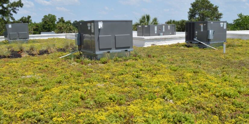 1630 2 Meeting St Local Works6