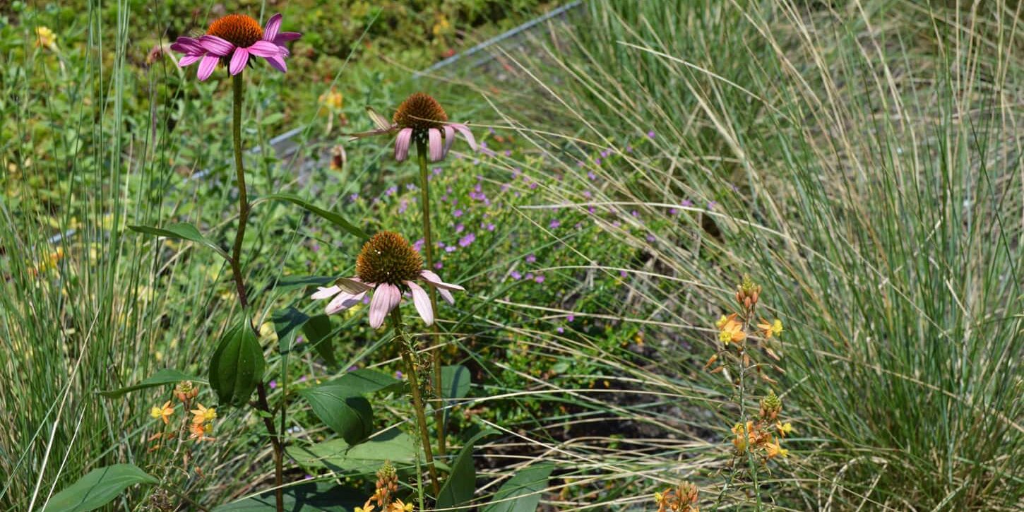 1630 2 Meeting St Local Works8