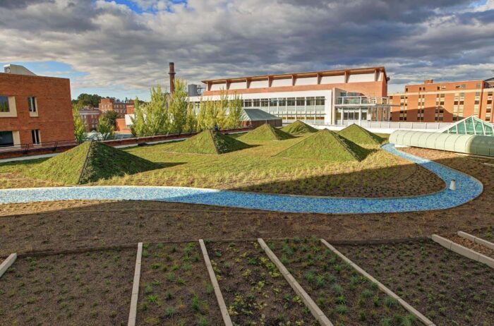 Case Study Healing Gardens 1