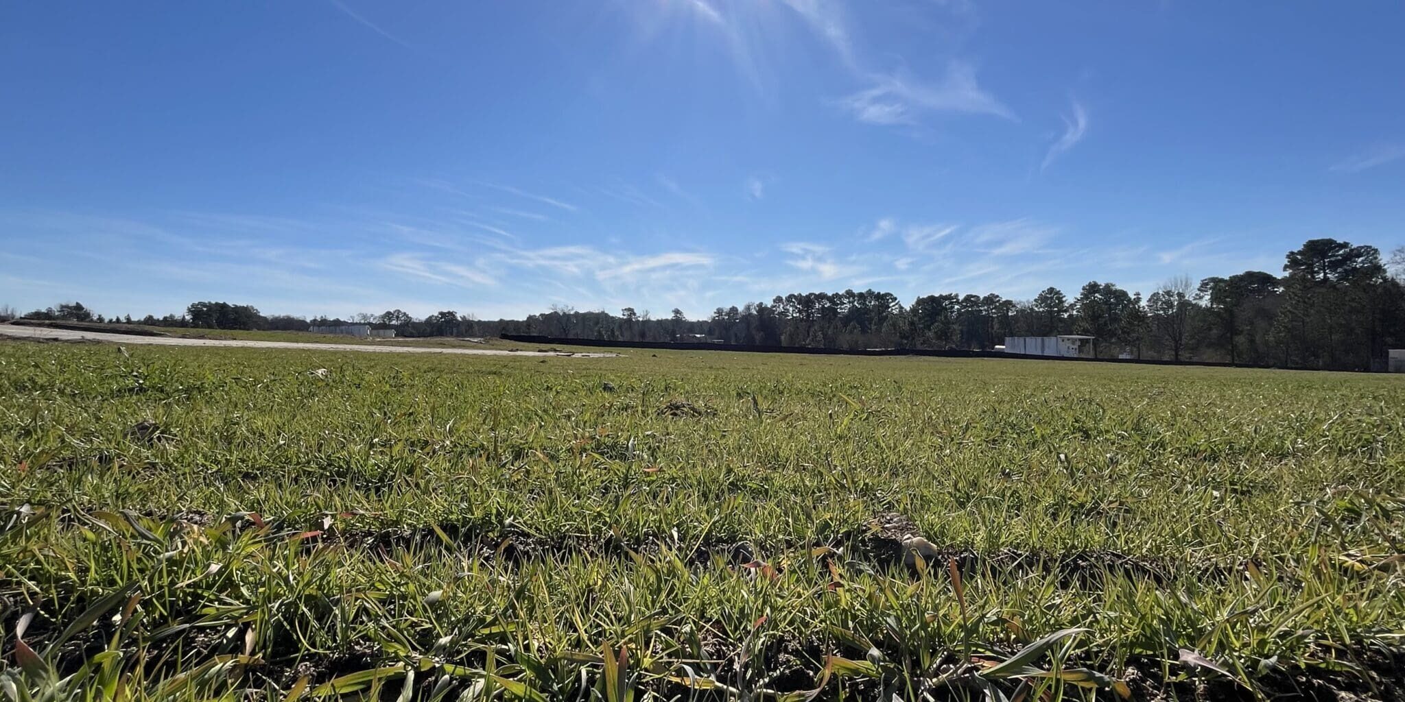 Ft Liberty Seeding After 1 (1)