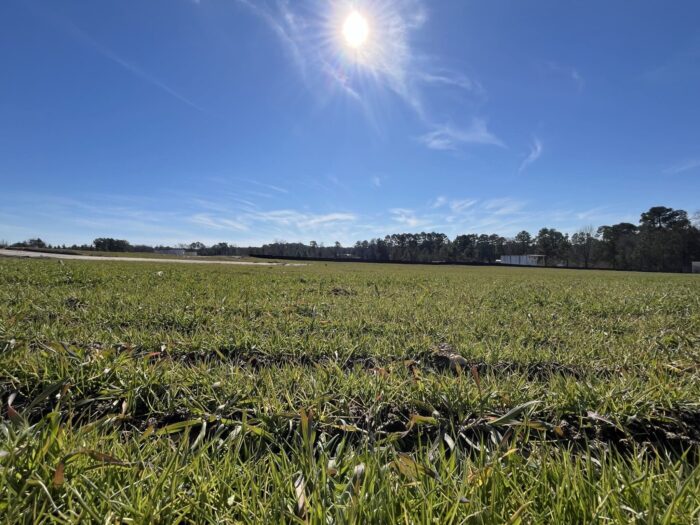 Ft Liberty Seeding After 1 (1)