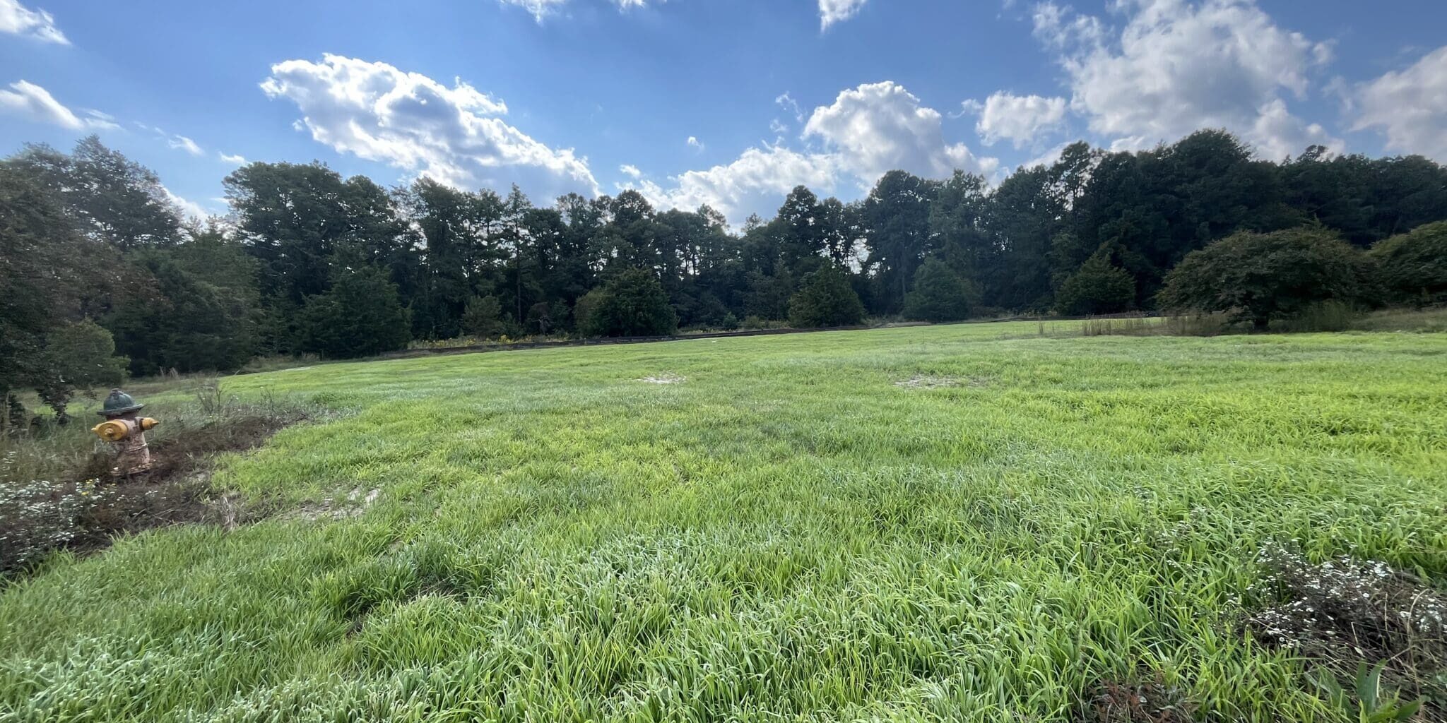 Ft Liberty Seeding After