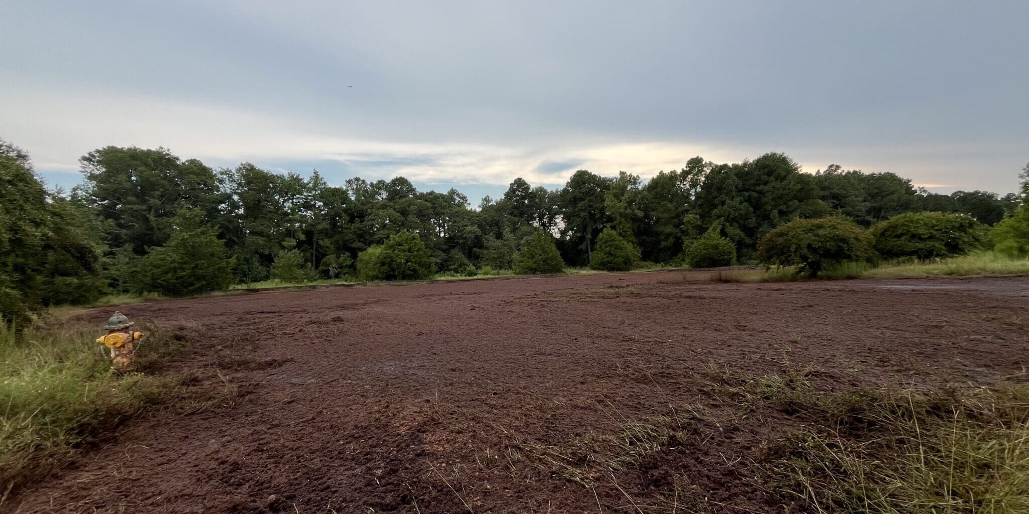 Ft Liberty Seeding Before