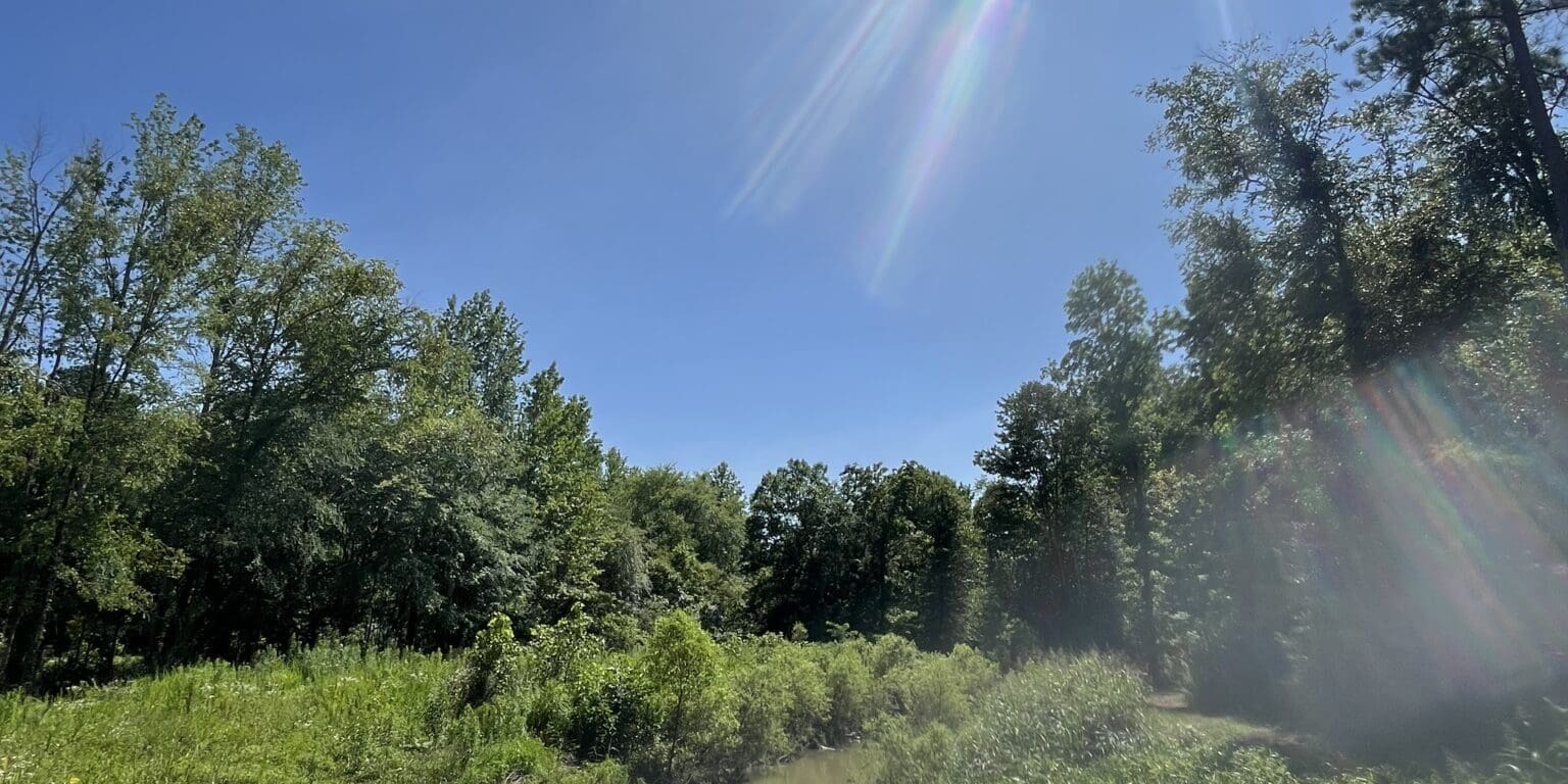 Photo Jun 20 2025, 3 46 08 Pm