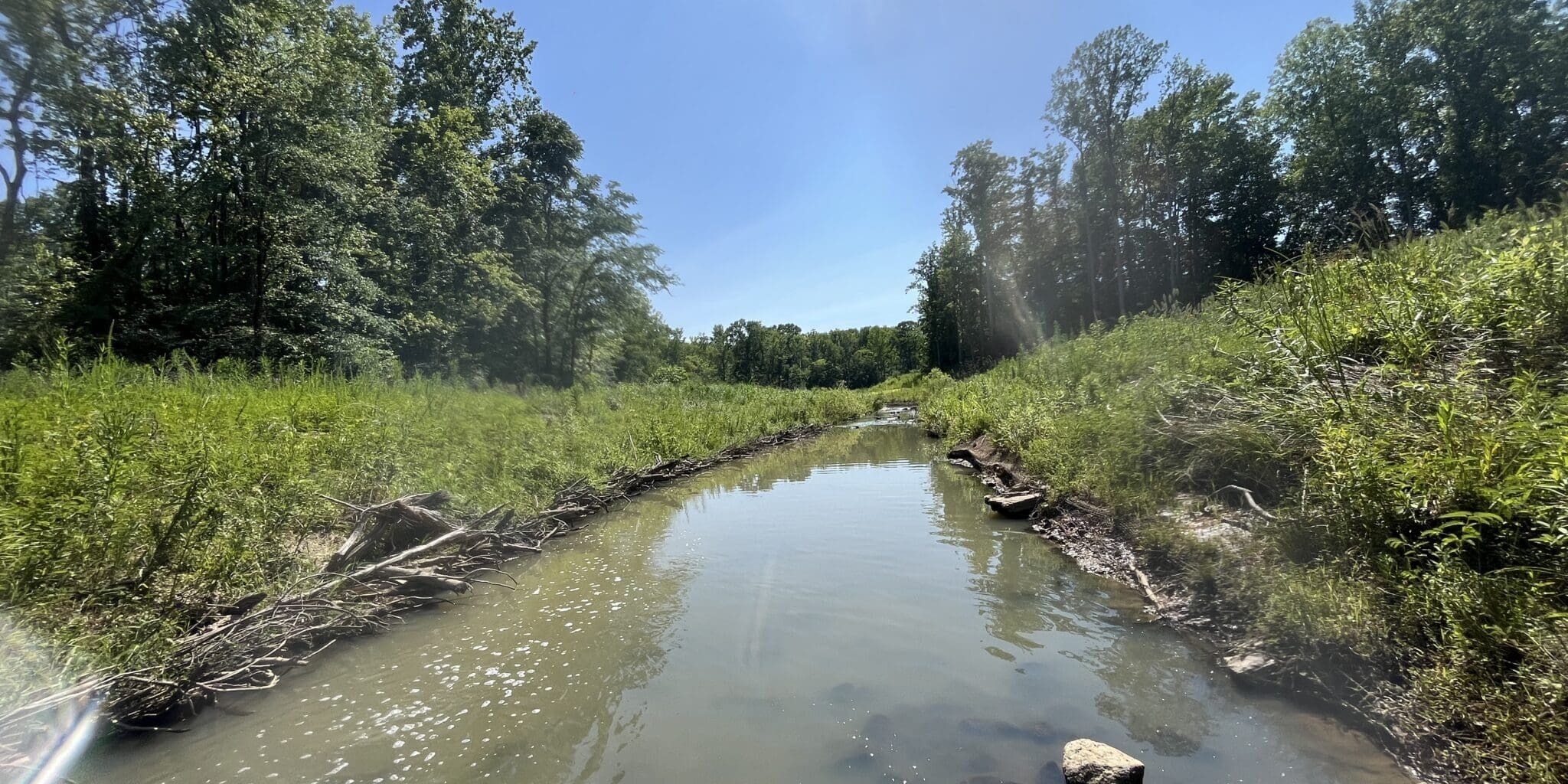 Photo Jun 20 2025, 3 52 34 Pm