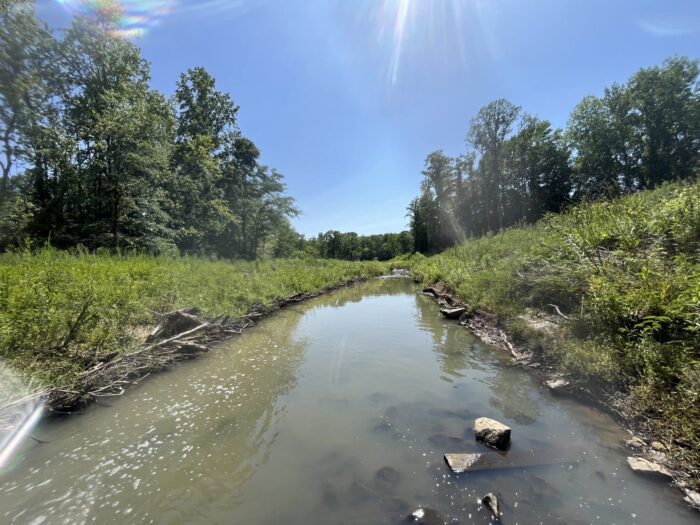 Photo Jun 20 2025, 3 52 34 Pm