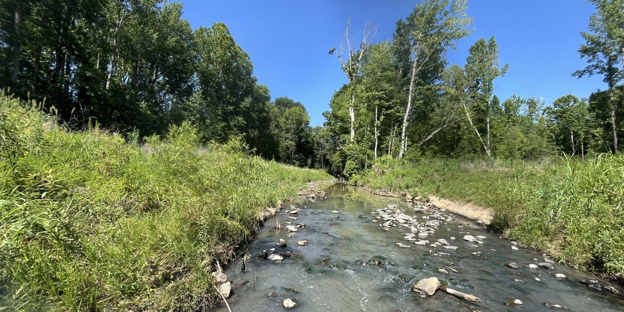 Photo Jun 20 2025, 3 52 37 Pm