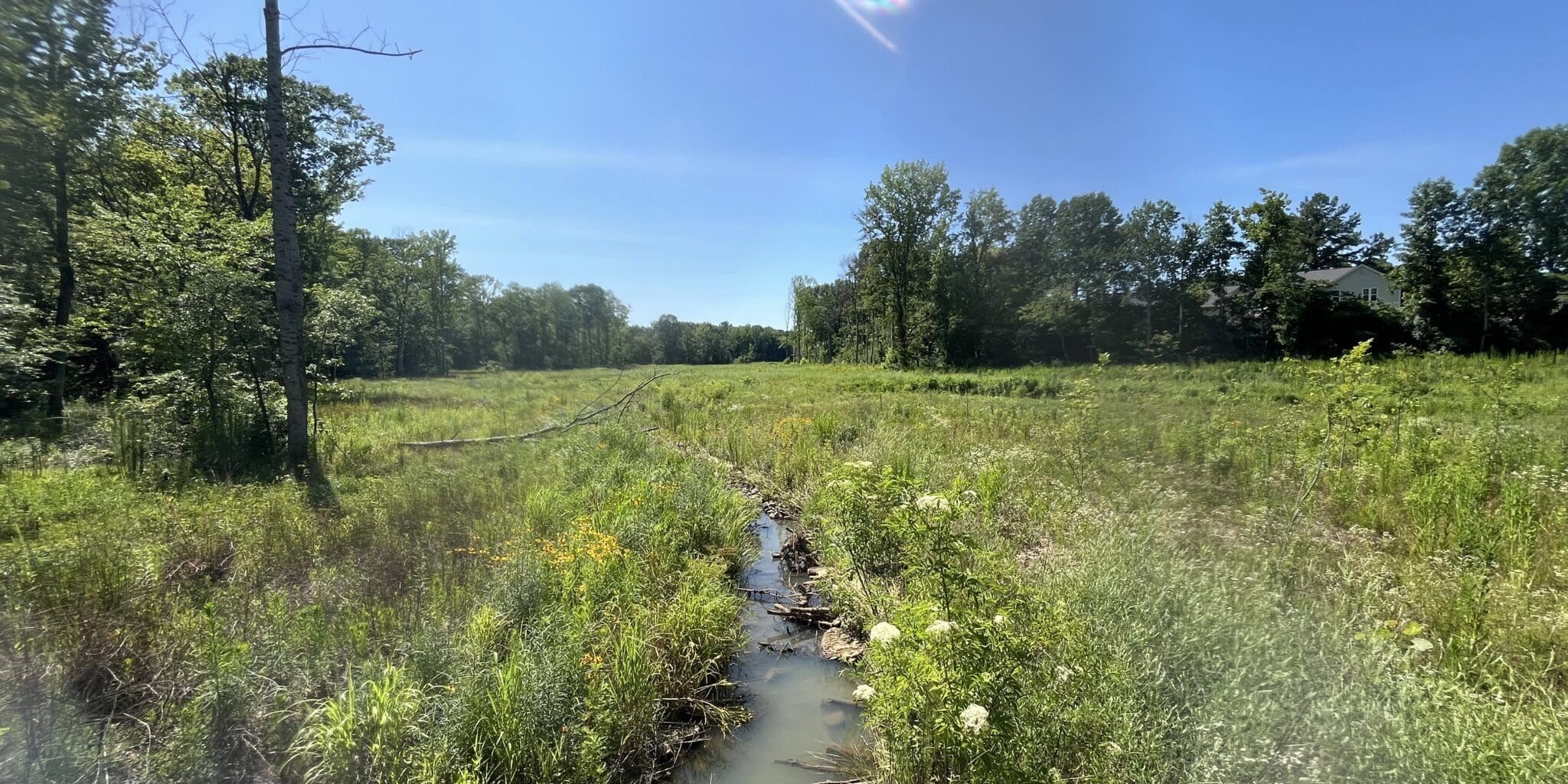 Photo Jun 20 2025, 3 55 36 Pm