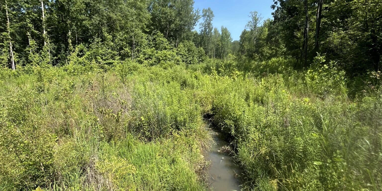 Photo Jun 20 2025, 3 55 48 Pm