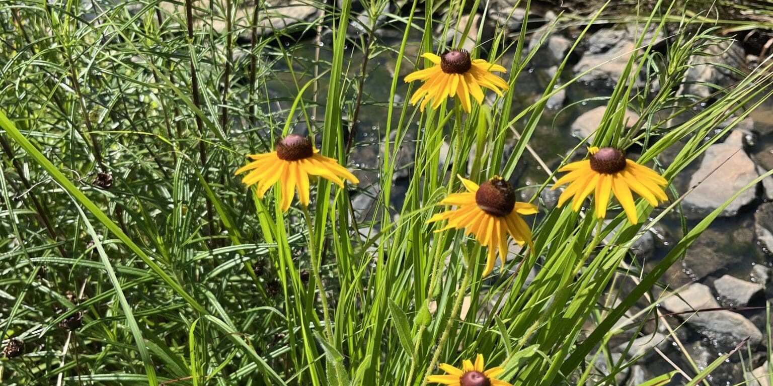 Photo Jun 20 2025, 3 56 48 Pm