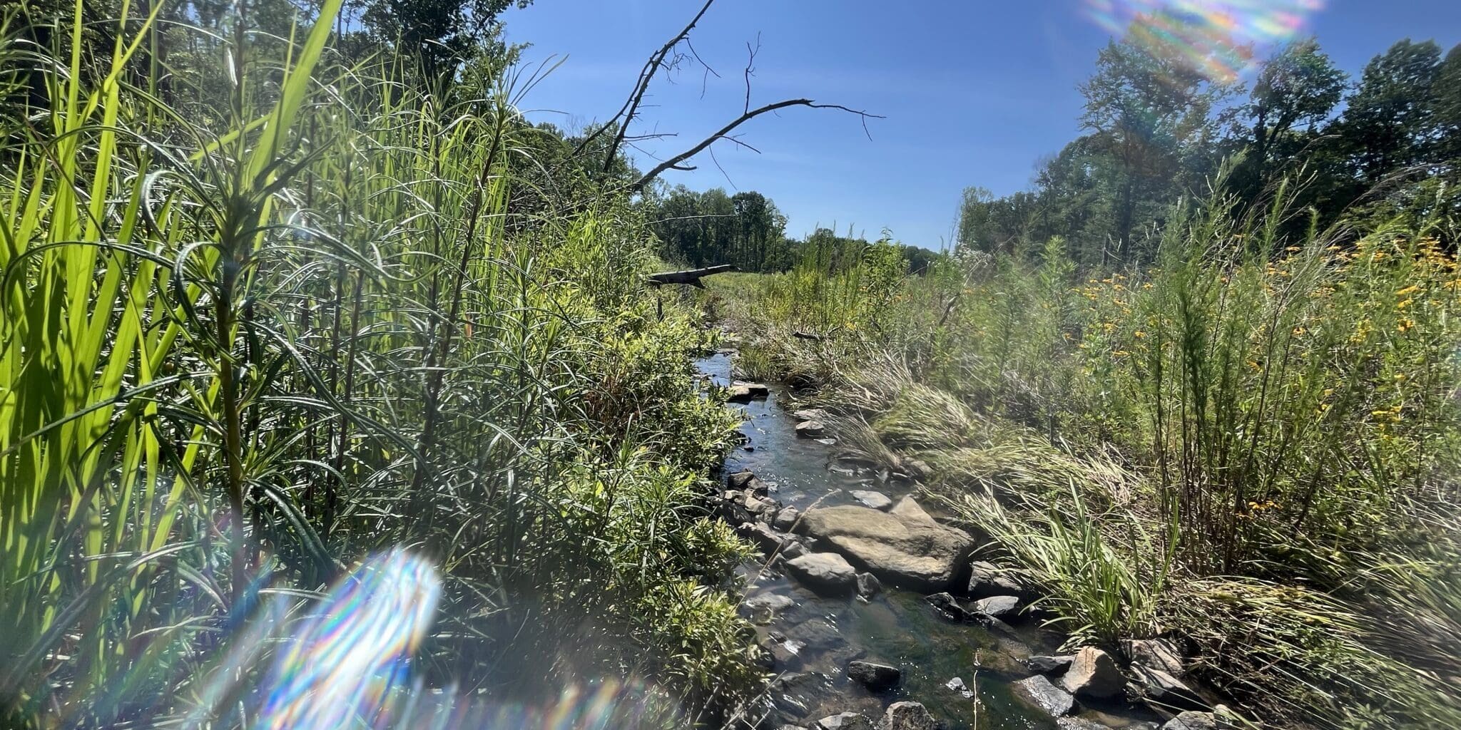 Photo Jun 20 2025, 3 56 59 Pm