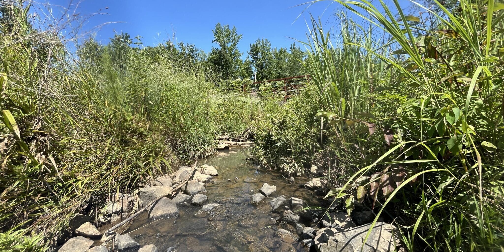 Photo Jun 20 2025, 3 57 17 Pm