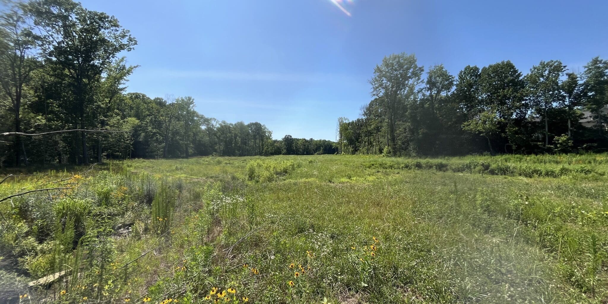 Photo Jun 20 2025, 3 57 42 Pm