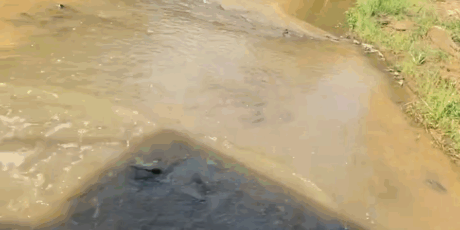 Photo Jun 20 2025, 5 55 40 Pm