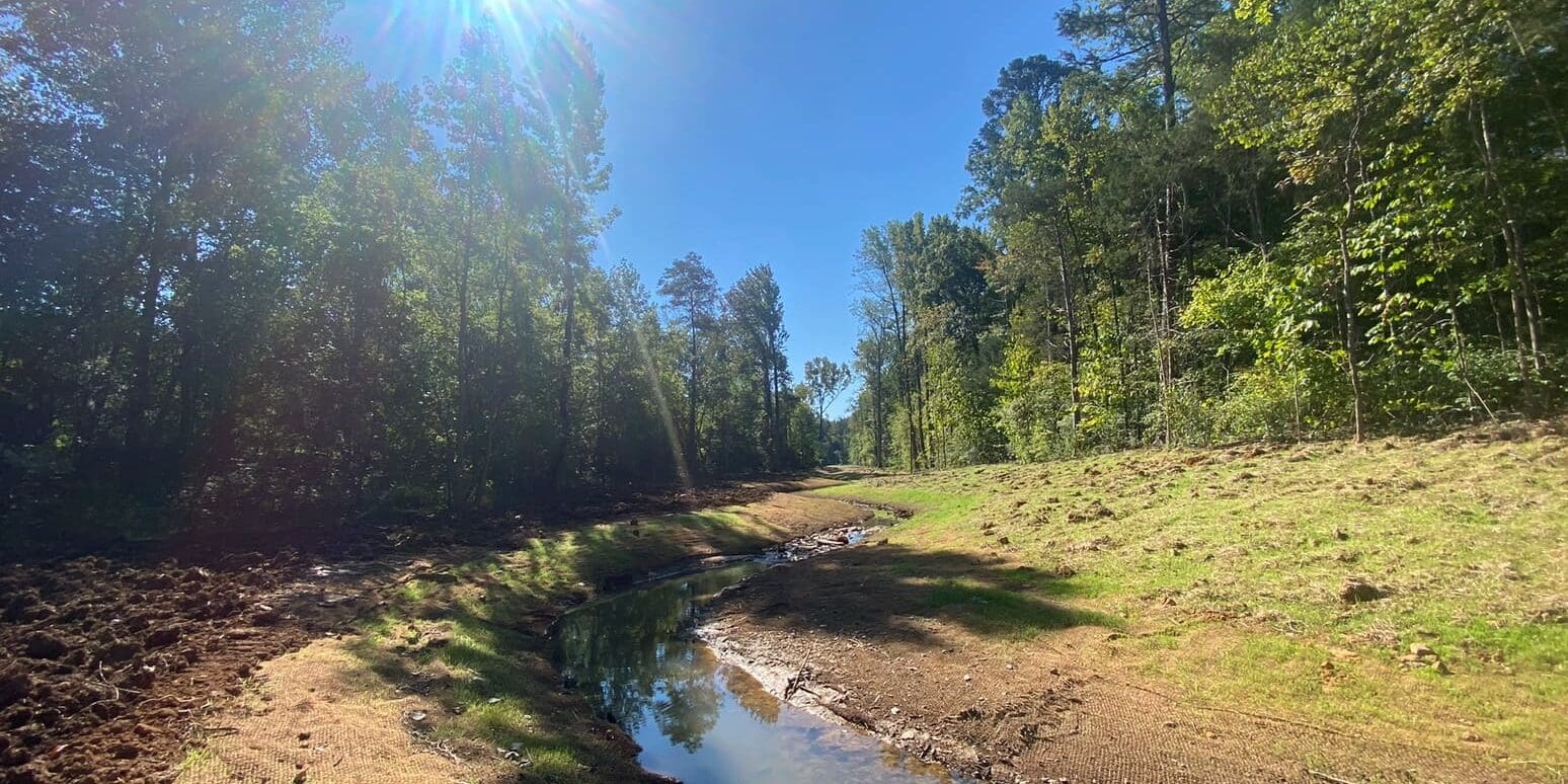 Photo Jun 20 2025, 6 37 47 Pm (8)