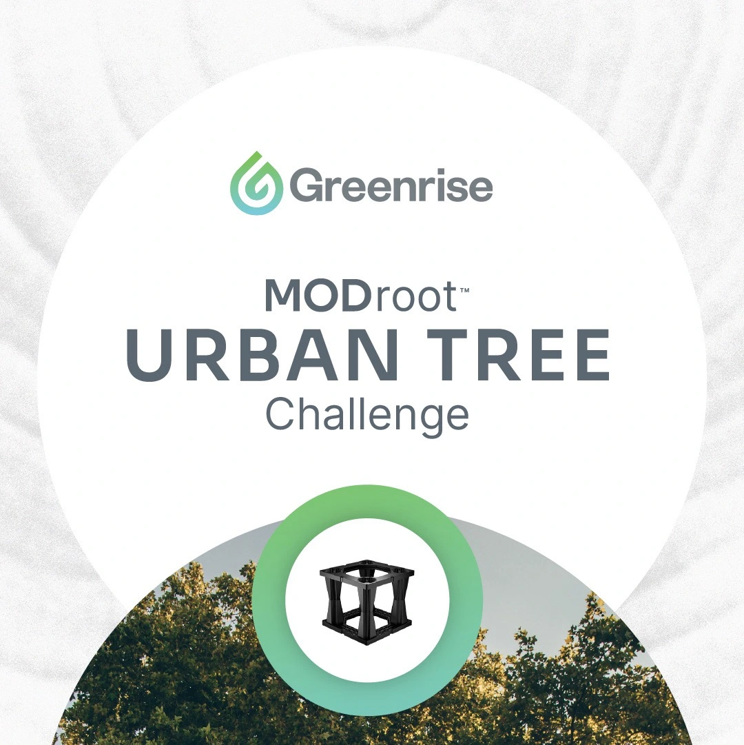 Greenrise Modroot Urban Tree Challenge Hero Mobile