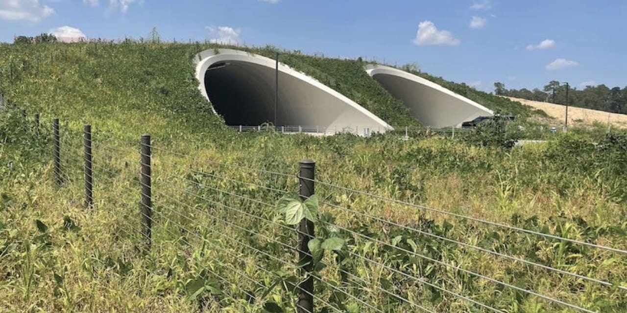 Greenrise Project Memorial Park 2 Large