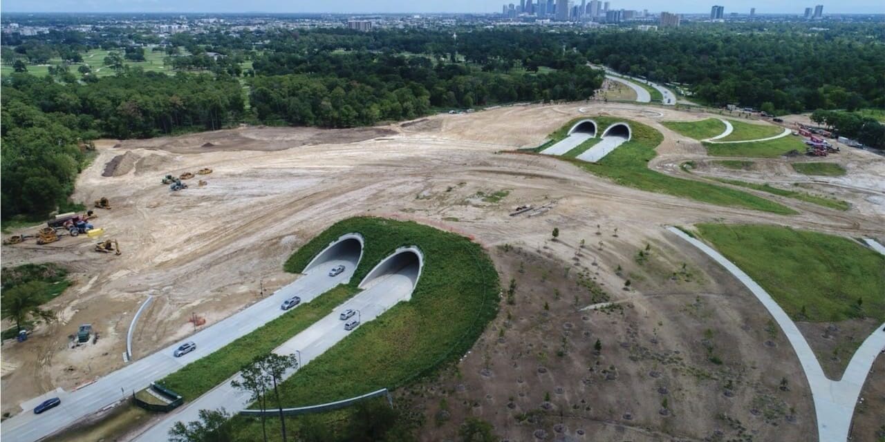 Greenrise Project Memorial Park 5 Large