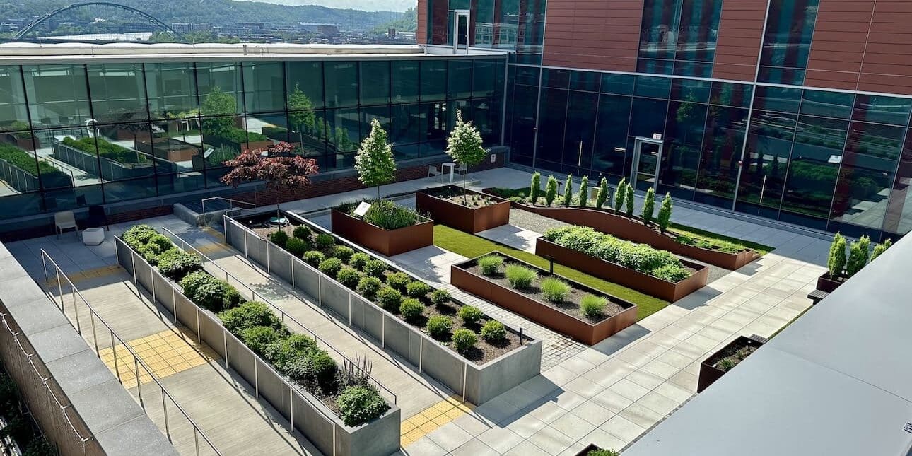 Upmc 2 Shrubs Hero