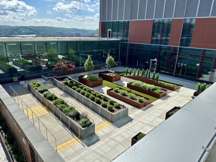 Upmc 2 Shrubs Hero